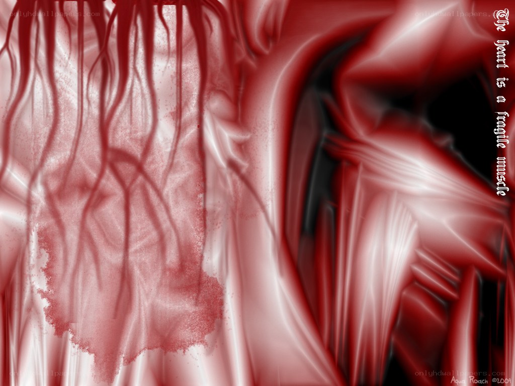 abstract red heart muscle