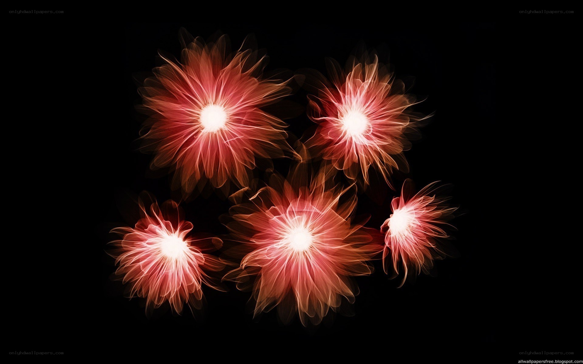 Abstract red light flowers