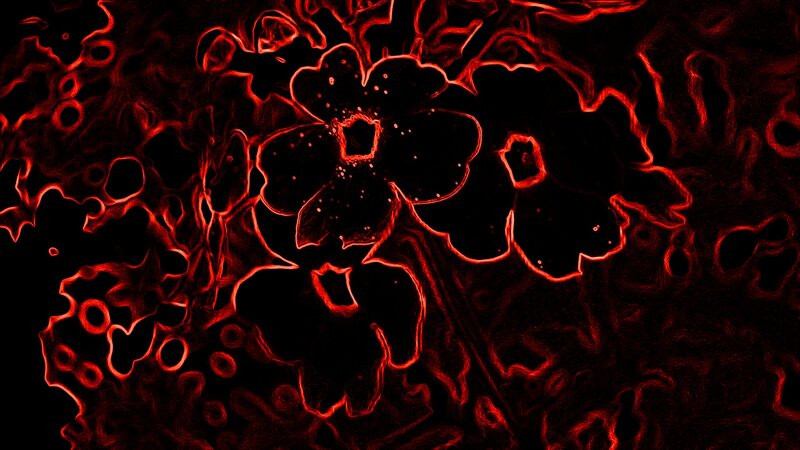 Abstract Red Patterns