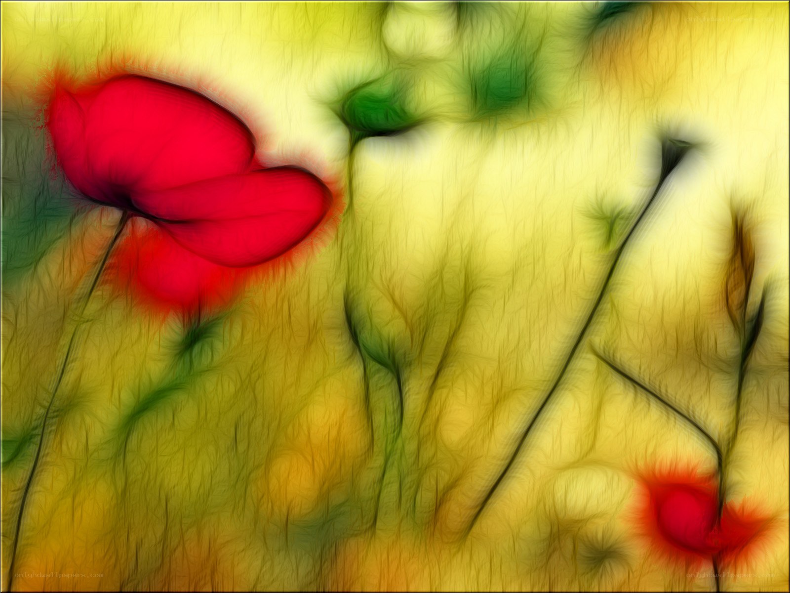 Abstract red poppies in field