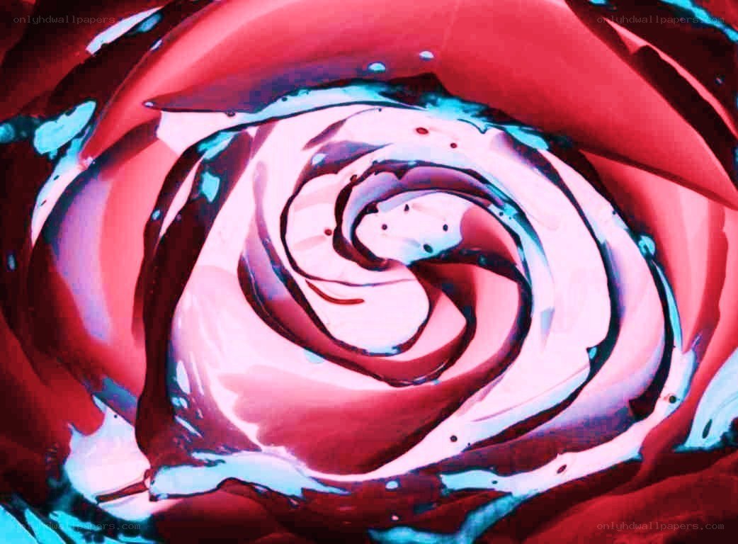 abstract red rose swirl