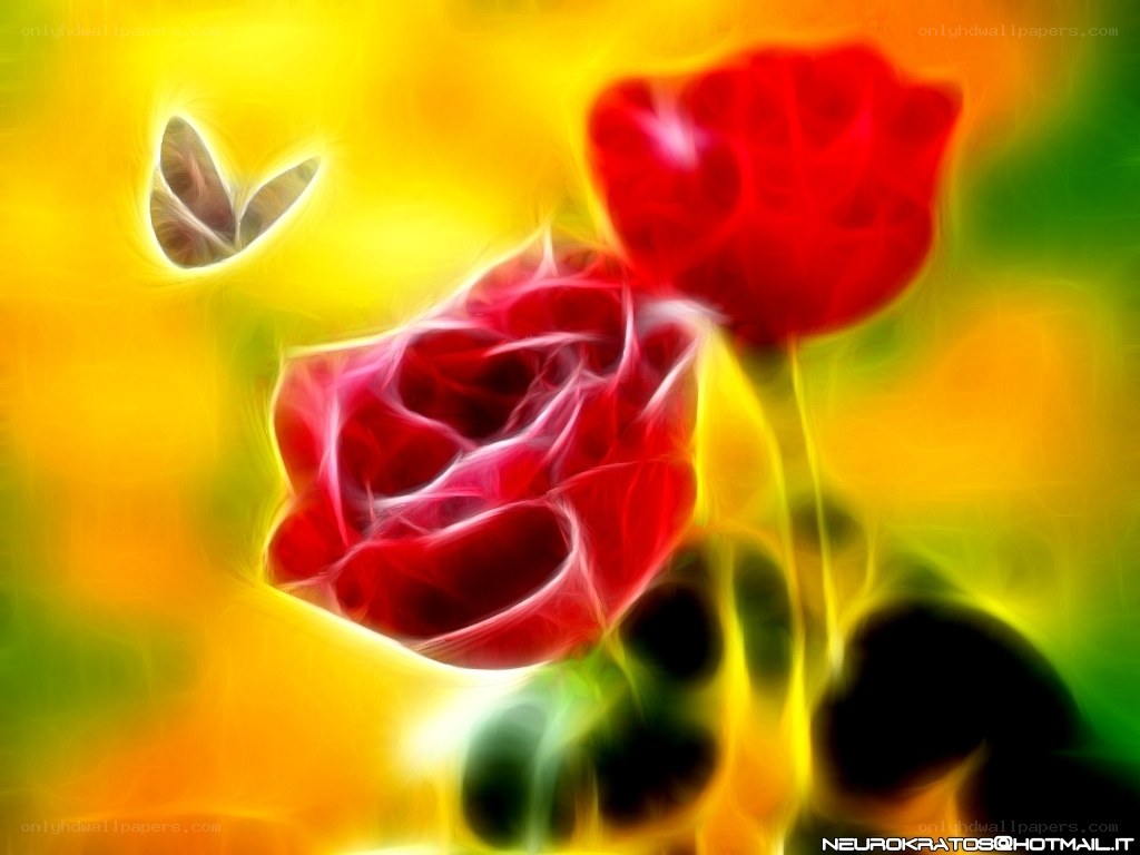 Abstract red roses and butterfly