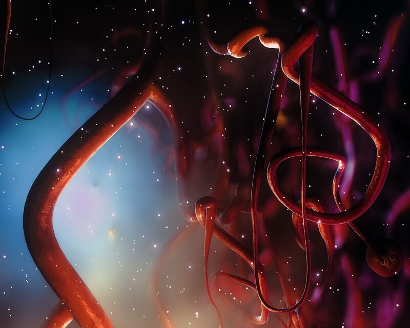 abstract red tube network