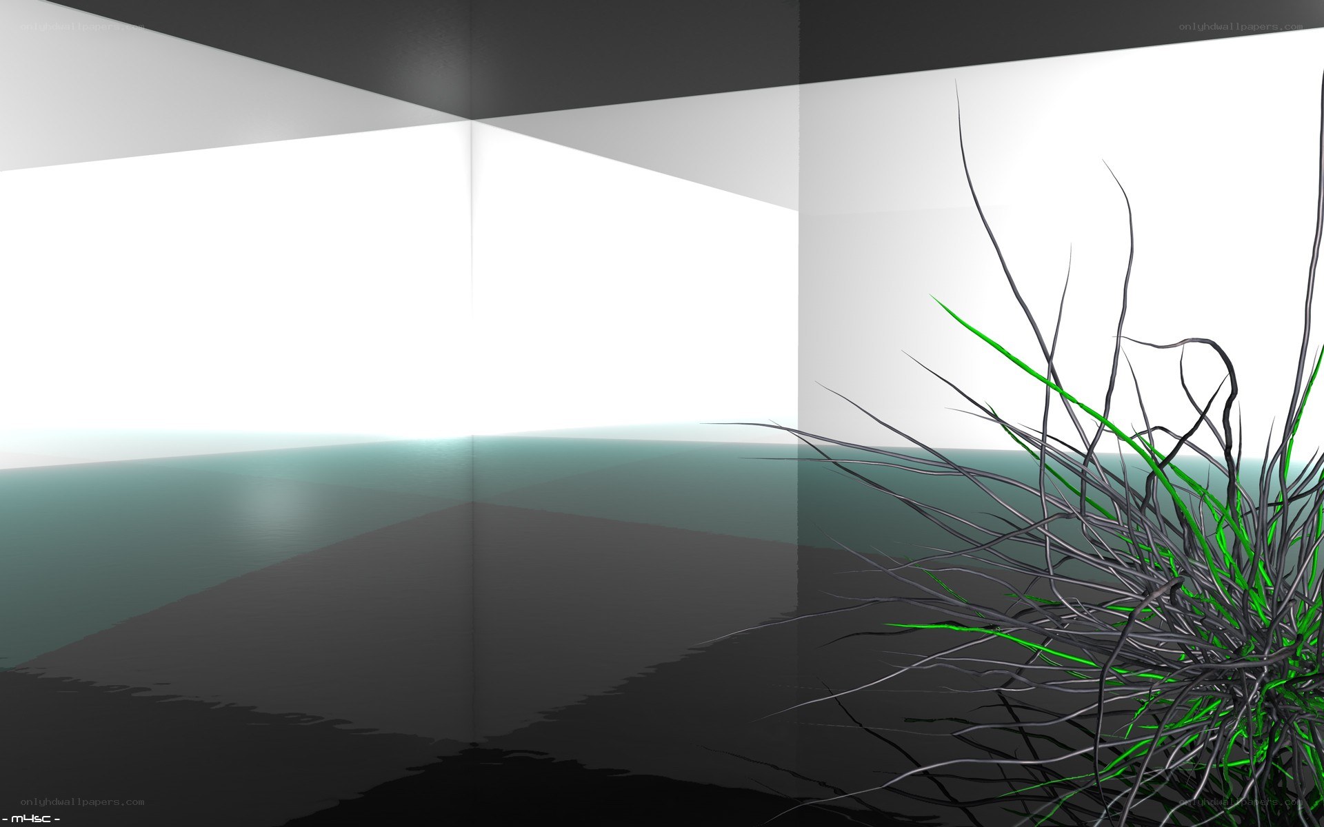abstract room with glowing grass