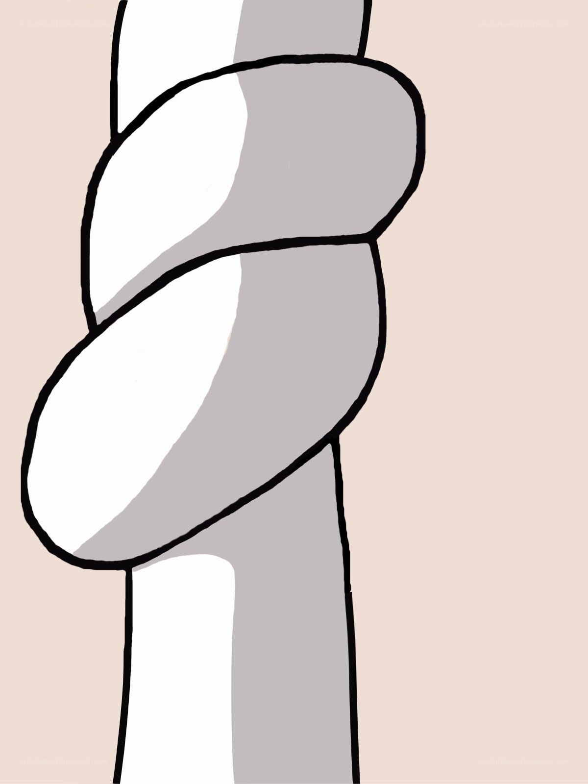 abstract rope knot illustration