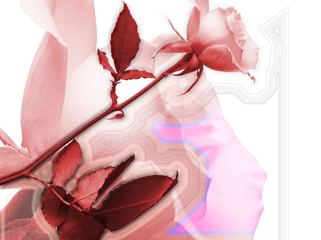 abstract rose with circuit patterns