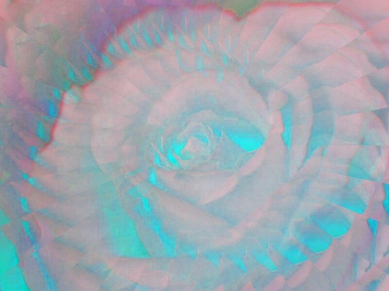 abstract rose with prism effect