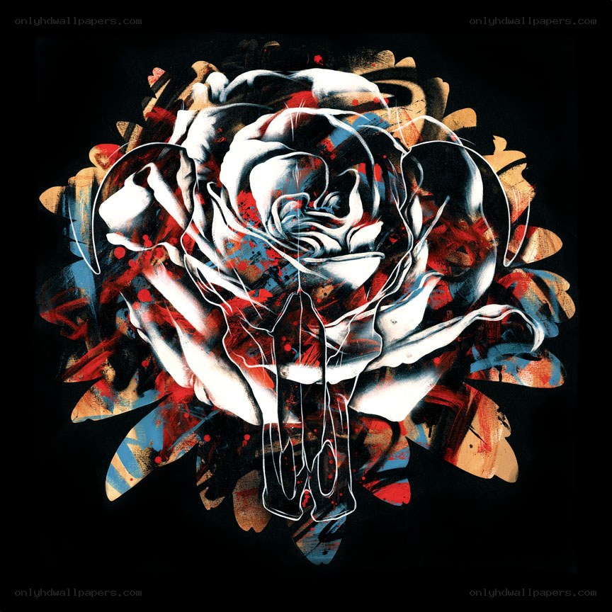 abstract rose with splattered colors