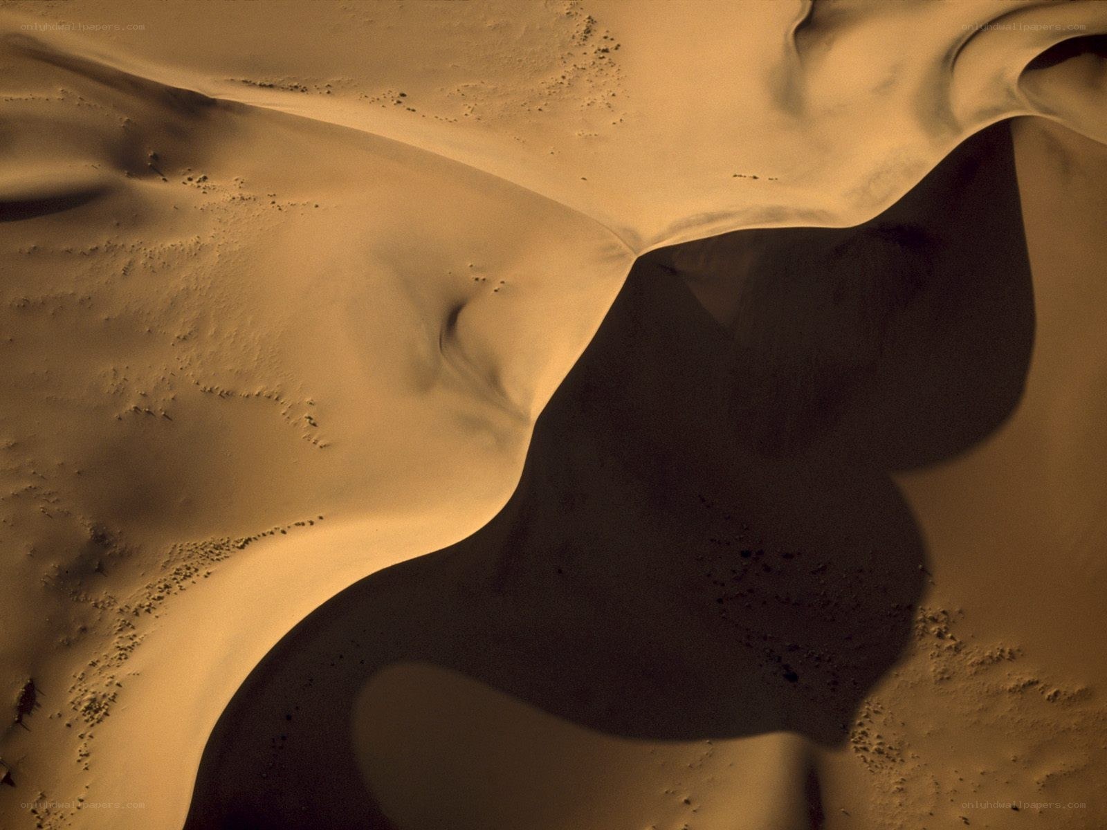 Abstract sand dune patterns