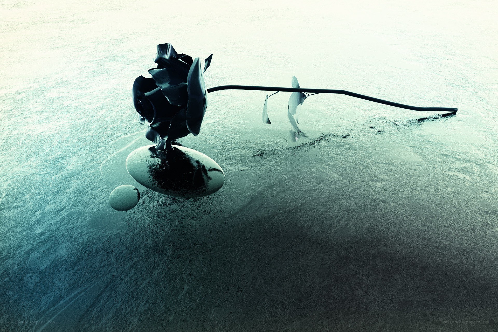 abstract sculpture on ice