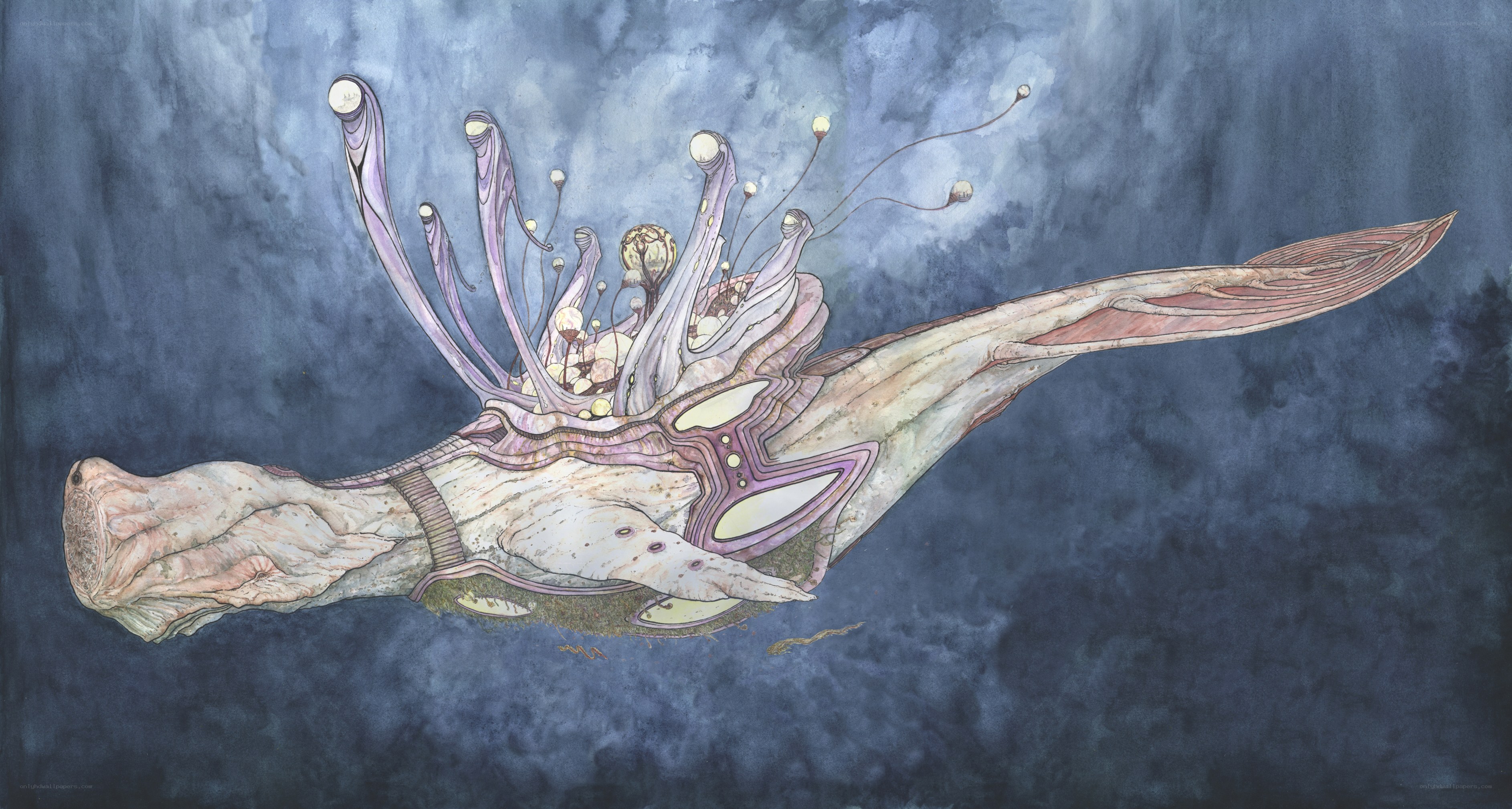 Abstract sea creature illustration