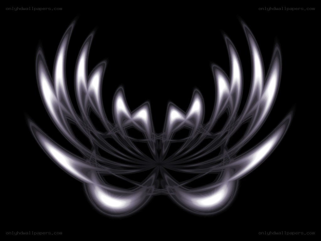 abstract silver fractal design