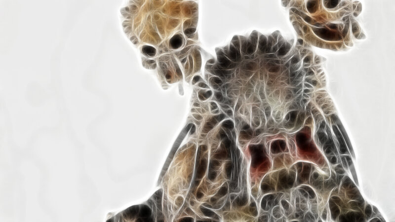 abstract skeletal figure