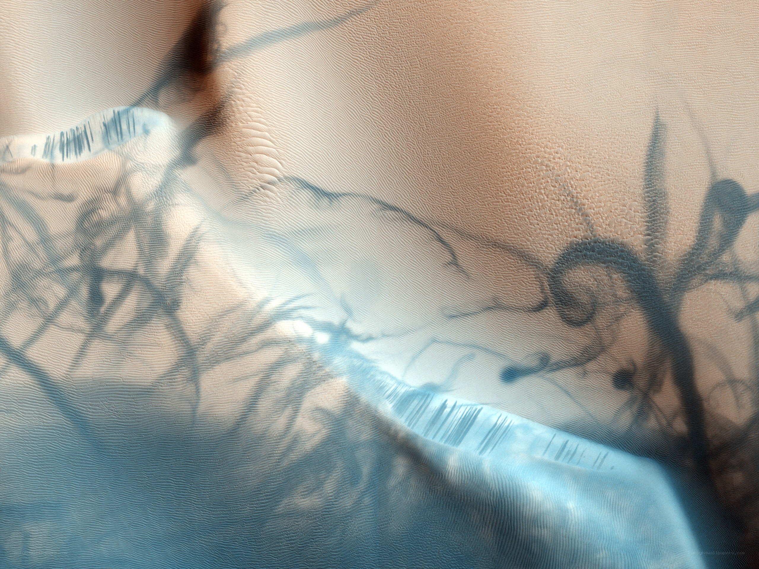 abstract skin texture with blue patterns