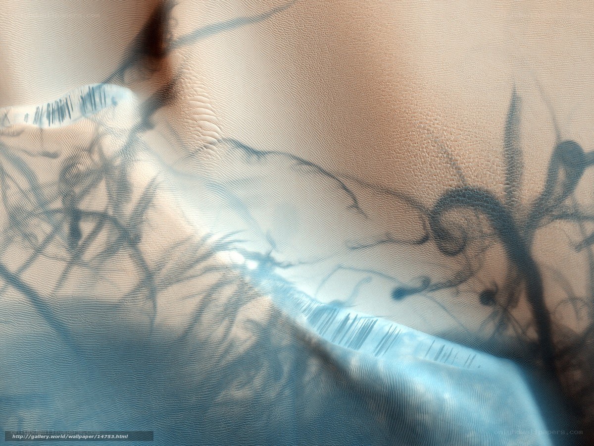 abstract skin texture with ink