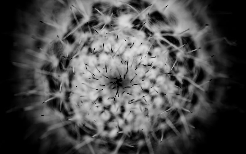 abstract spiky pattern
