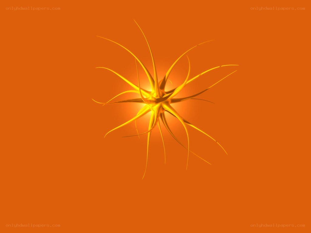 Abstract starburst design