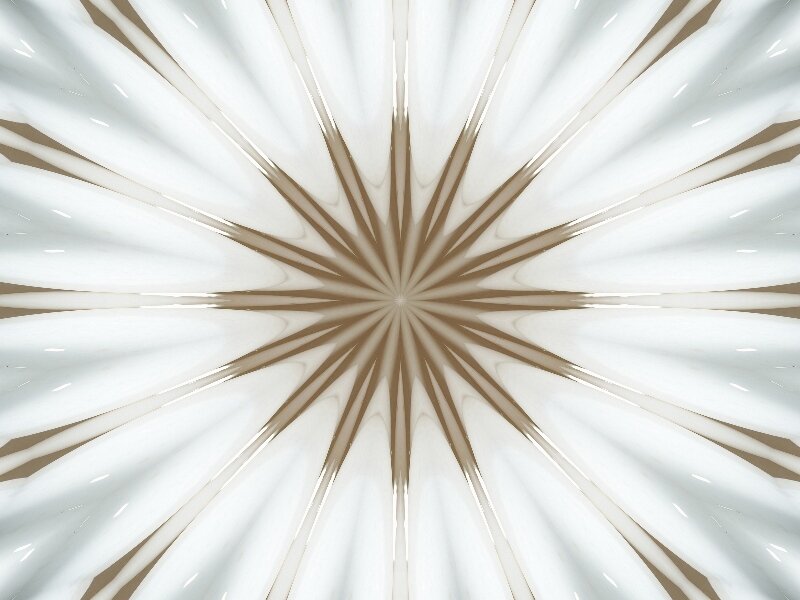 Abstract Starburst Pattern — White