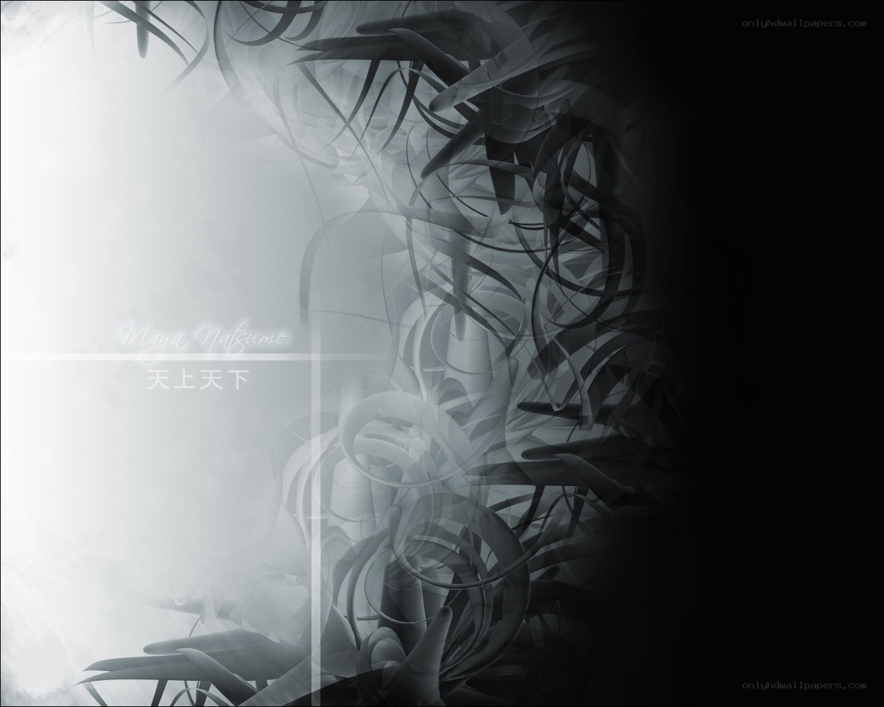 abstract swirls and light
