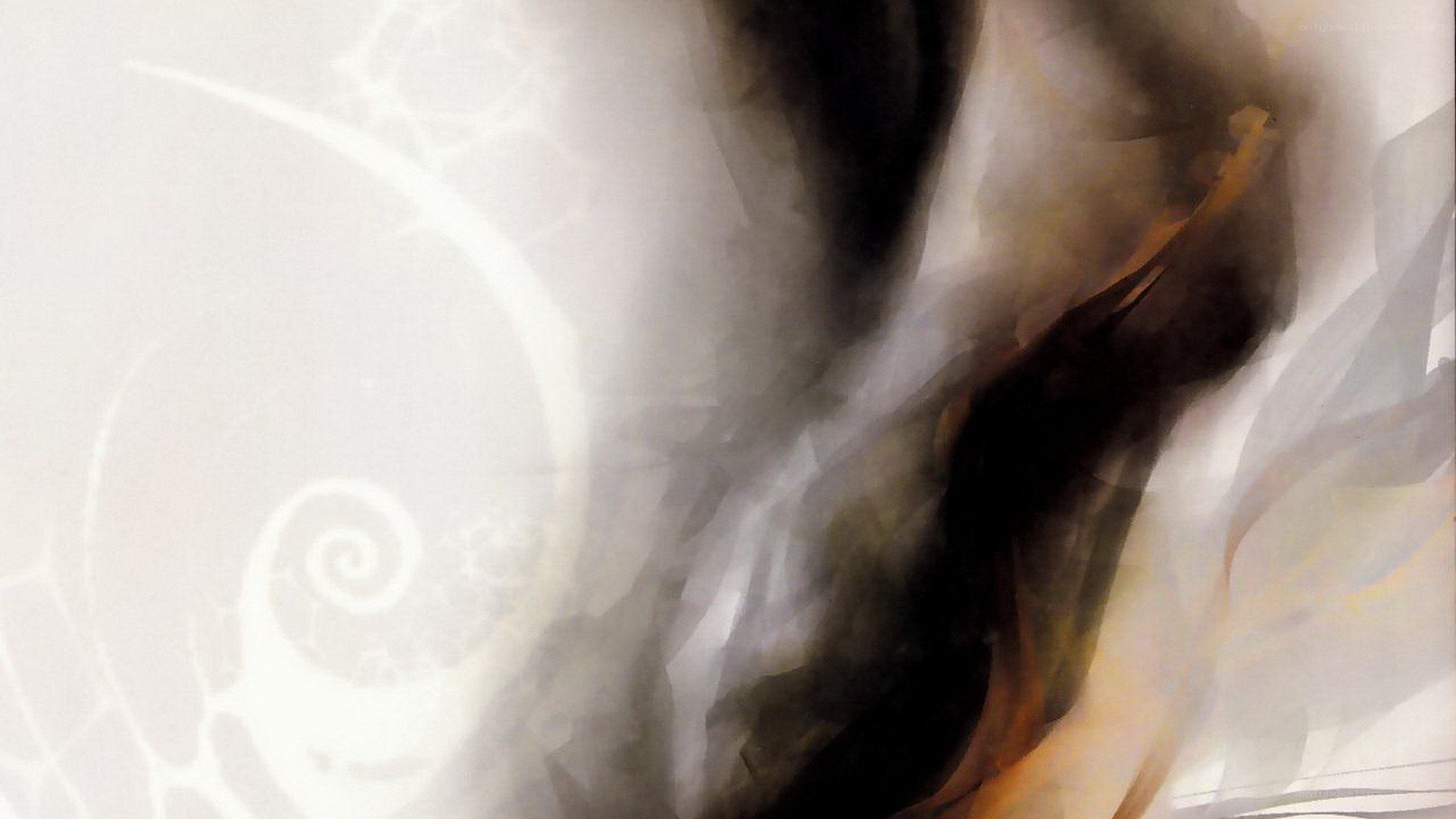abstract swirls and smoke