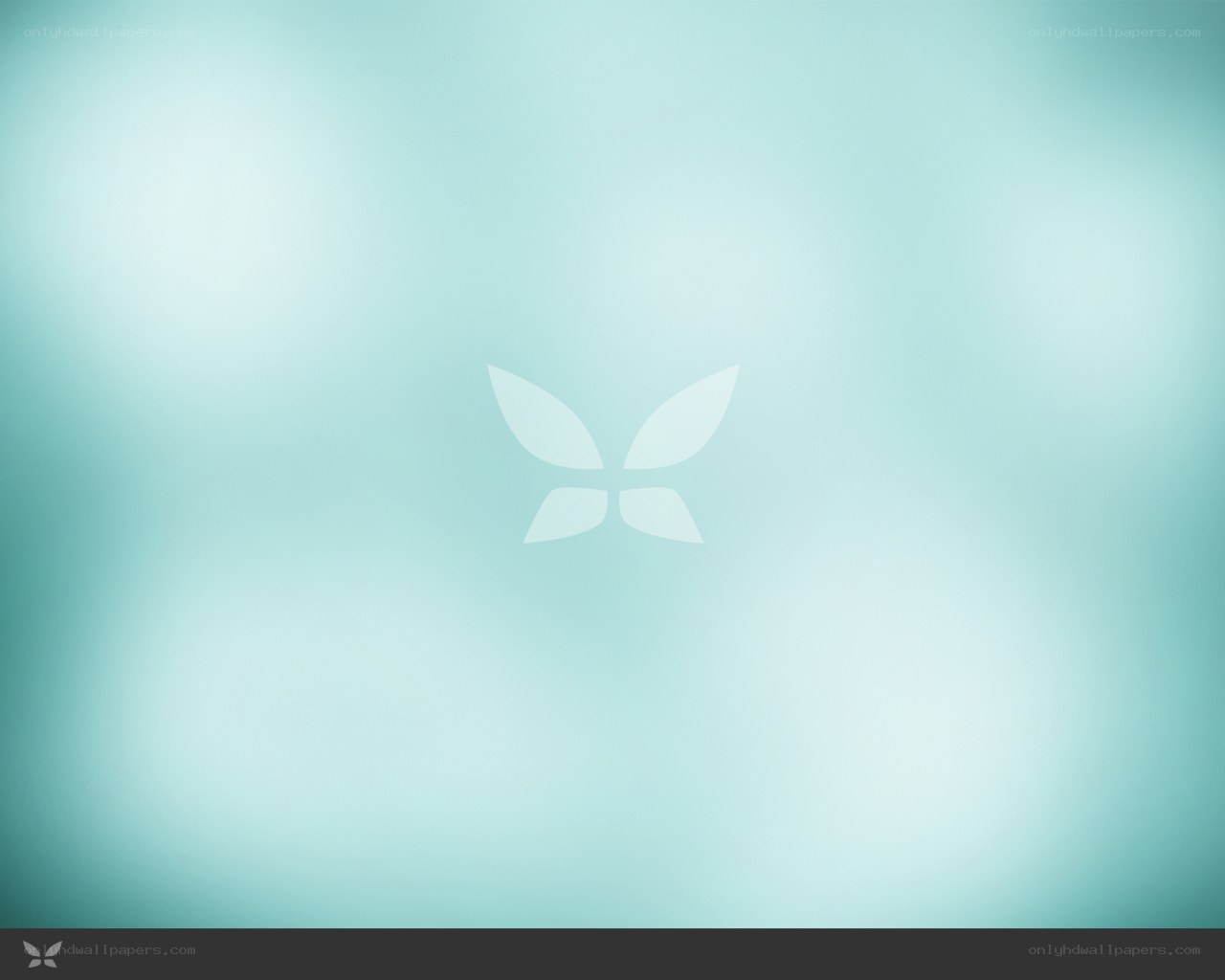 abstract teal background with logo