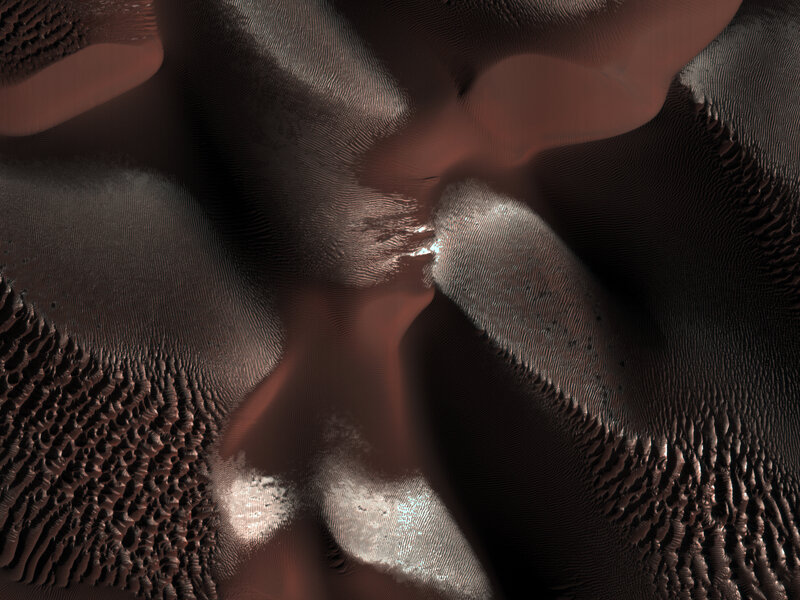 Abstract Textured Surface — Brown