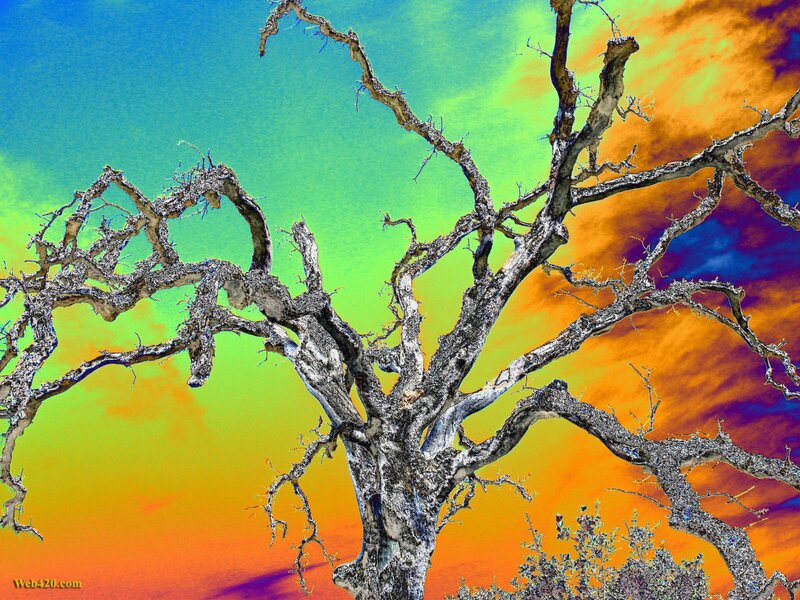 Abstract tree against vibrant sky