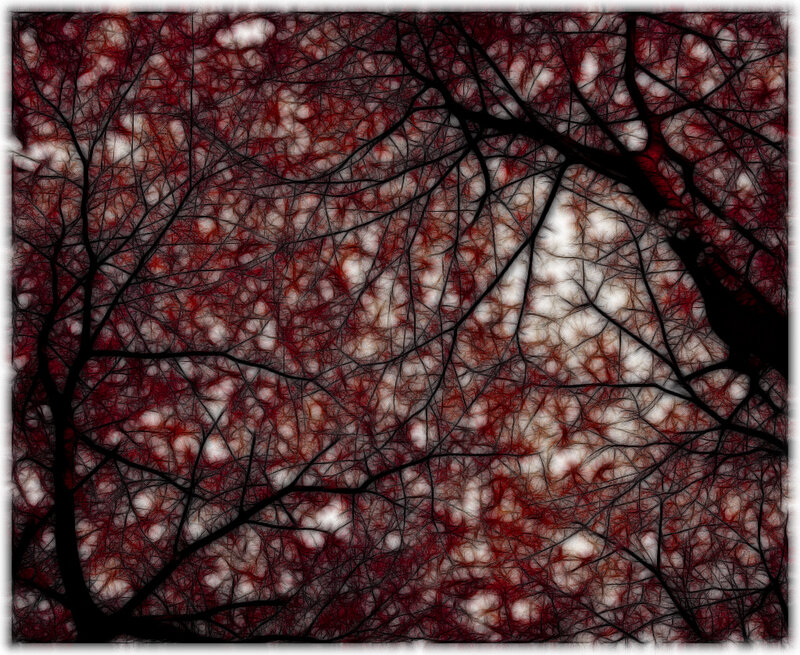 abstract tree branches pattern