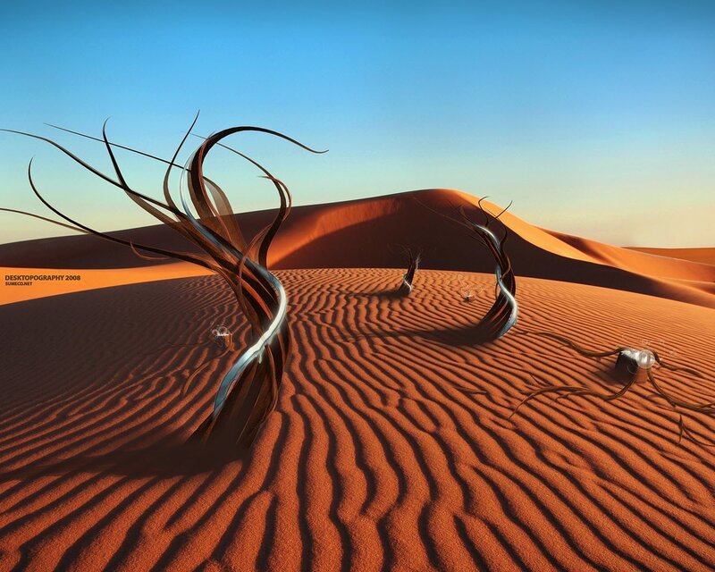Abstract Tree in Desert