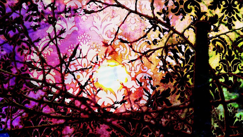 abstract tree pattern with light