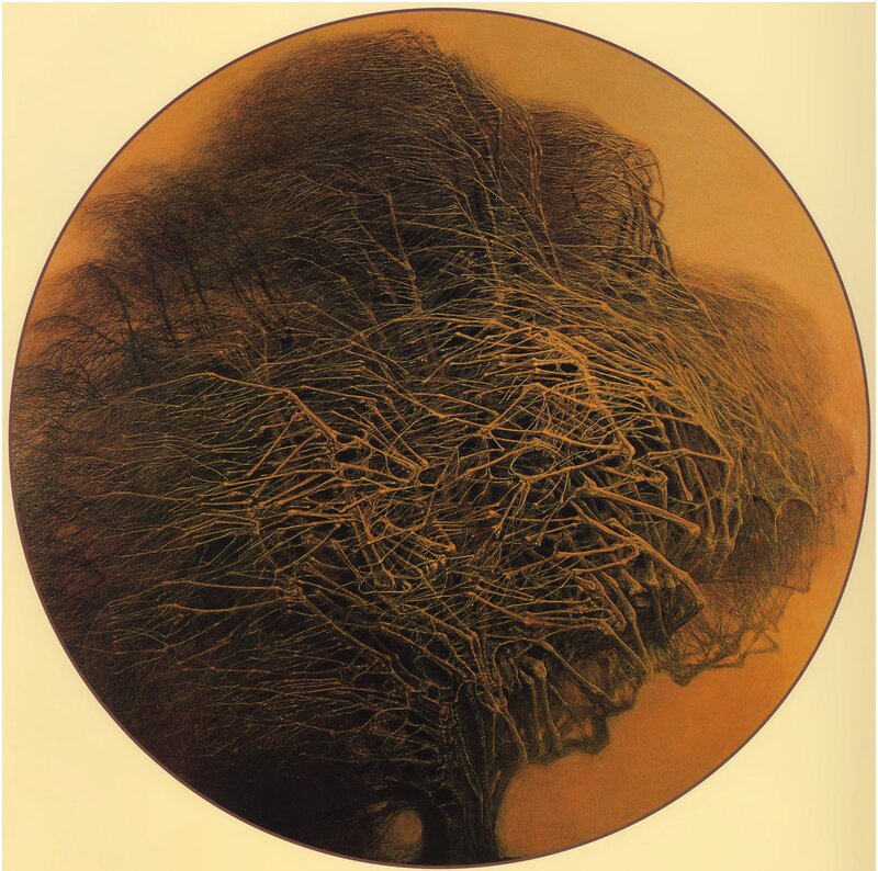 Abstract Tree Roots