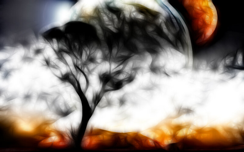 Abstract tree silhouette at sunset