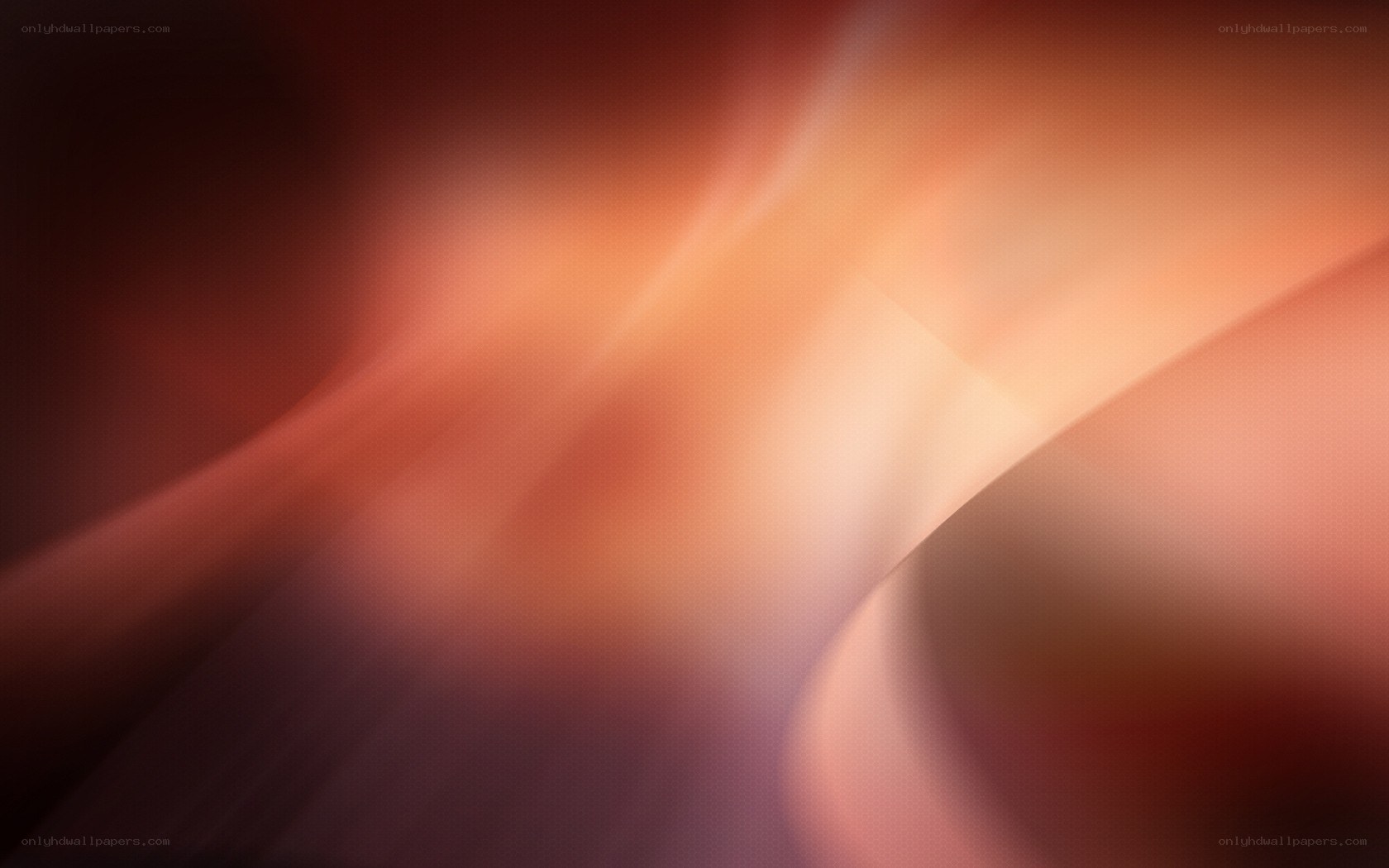 abstract warm light waves