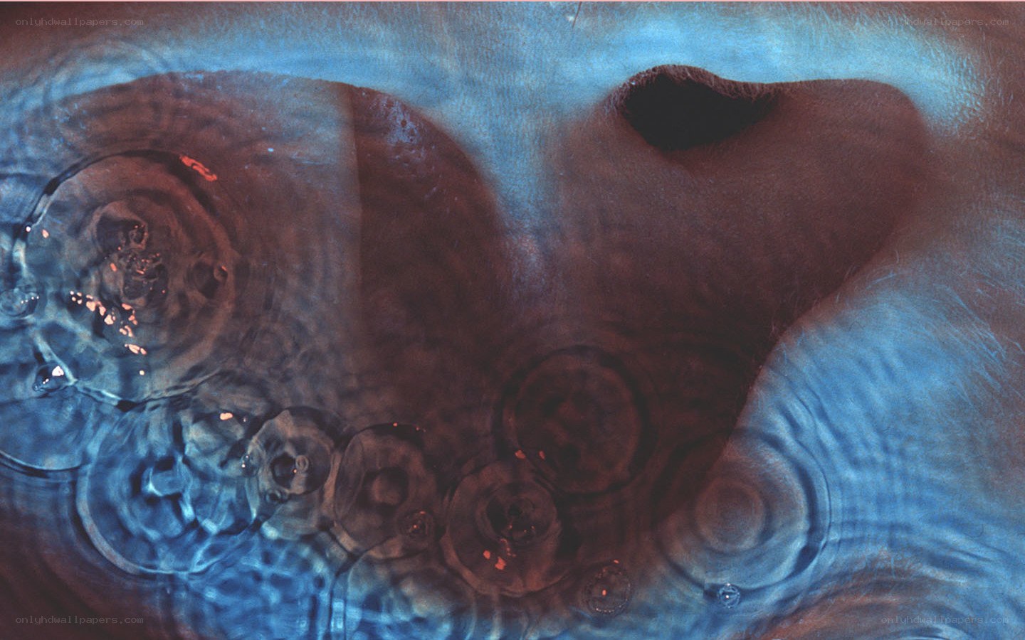 Abstract water ripples and bubbles