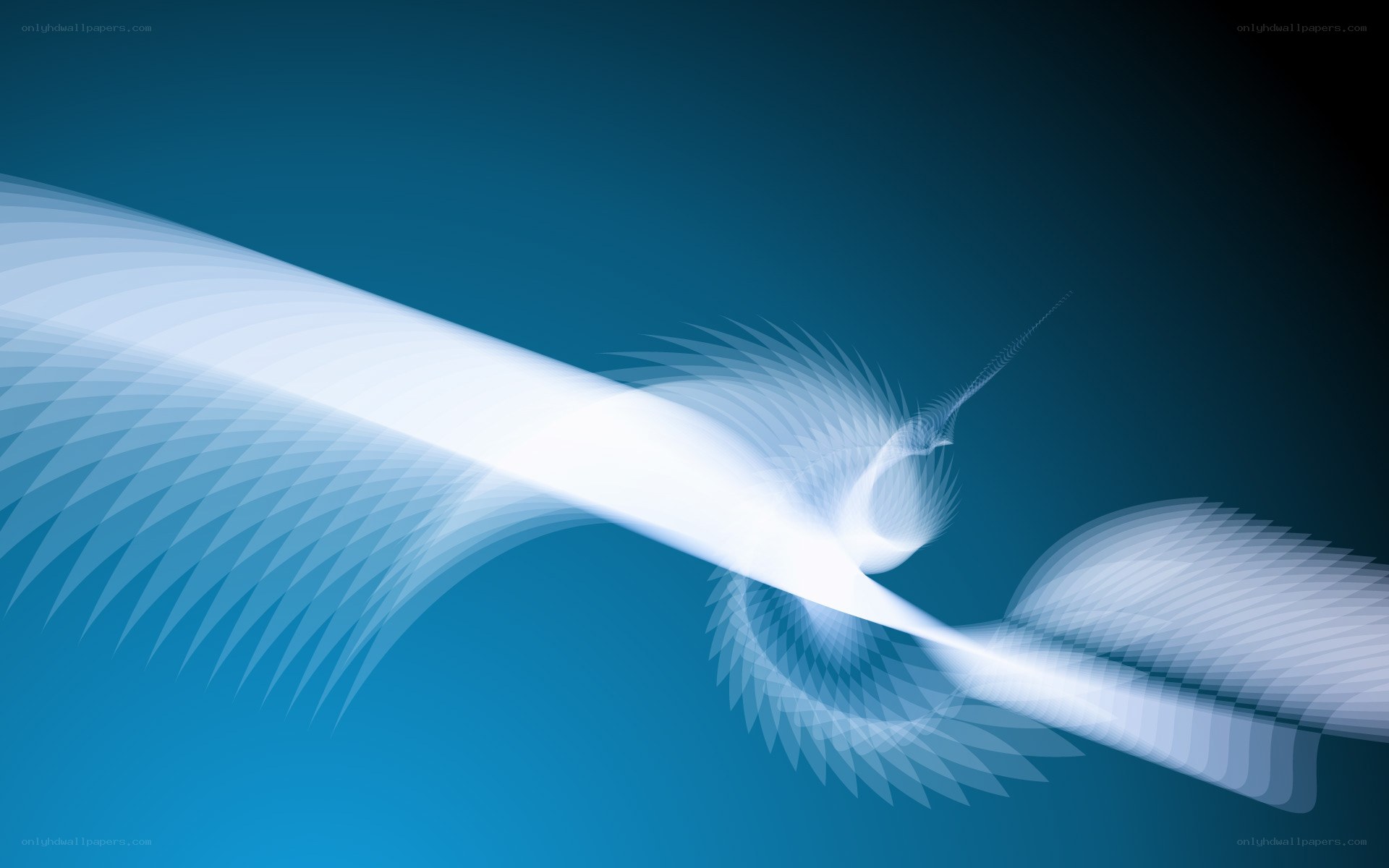 Abstract white bird in flight