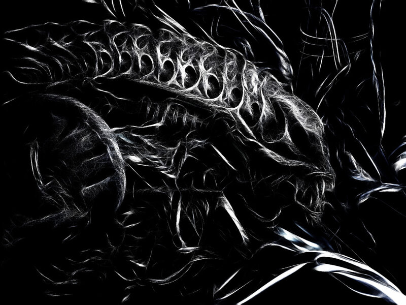 Abstract white creature on black
