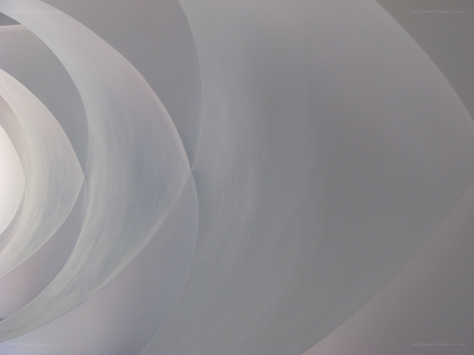 Abstract white curves