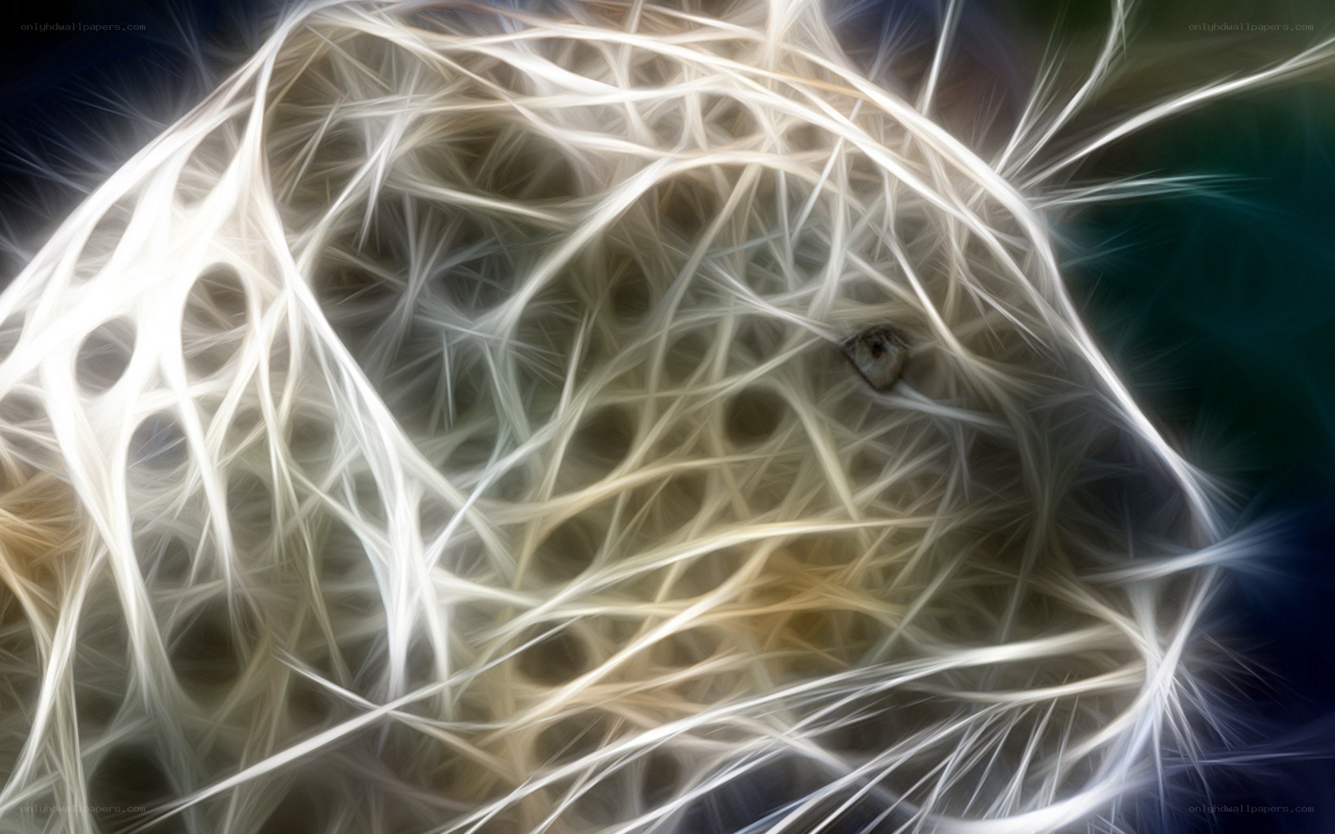 abstract white fiber pattern