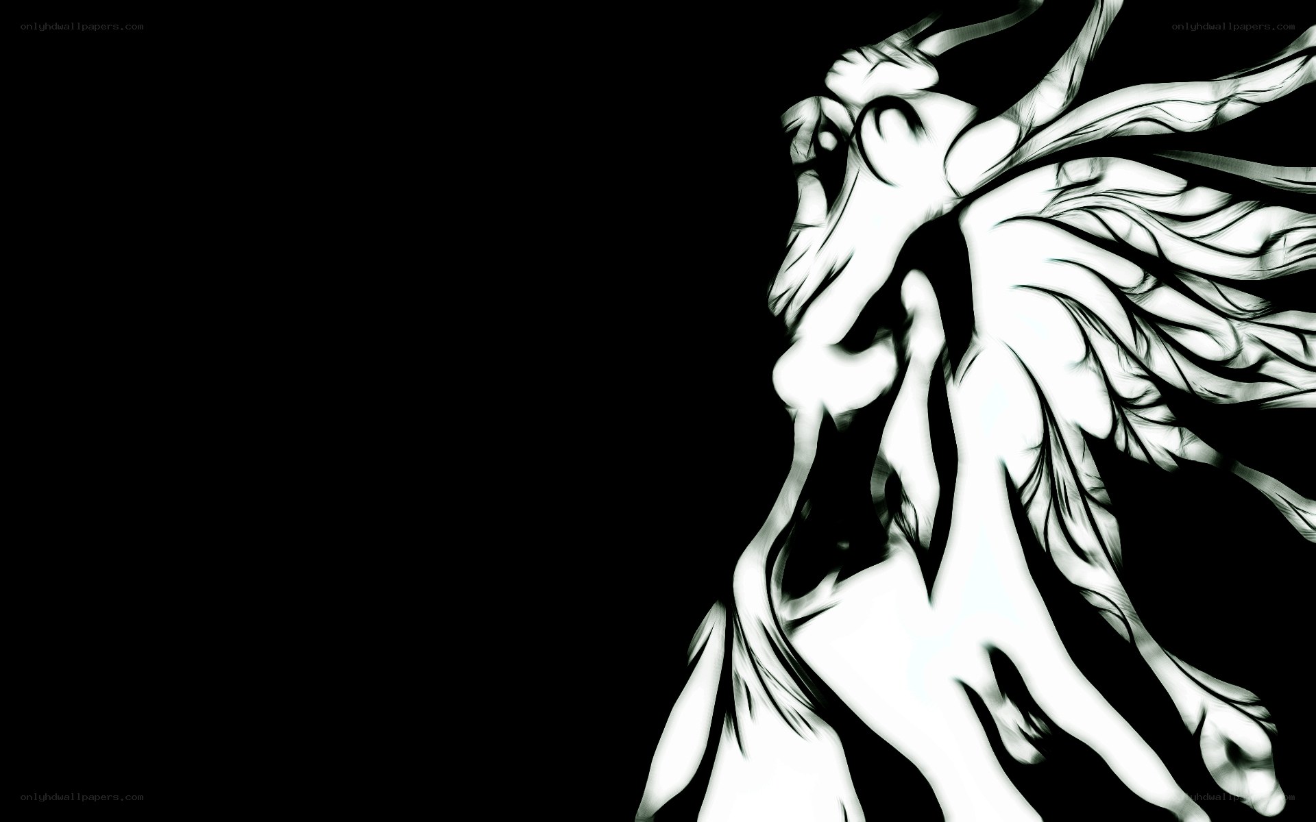 abstract white figure on black