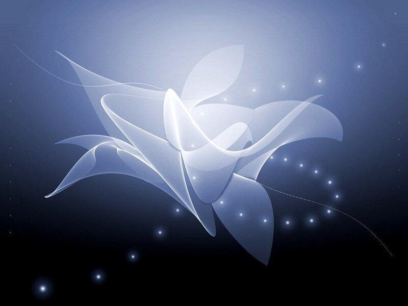Abstract white flower design