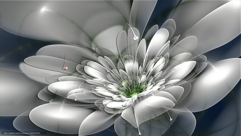 Abstract white flower fractal