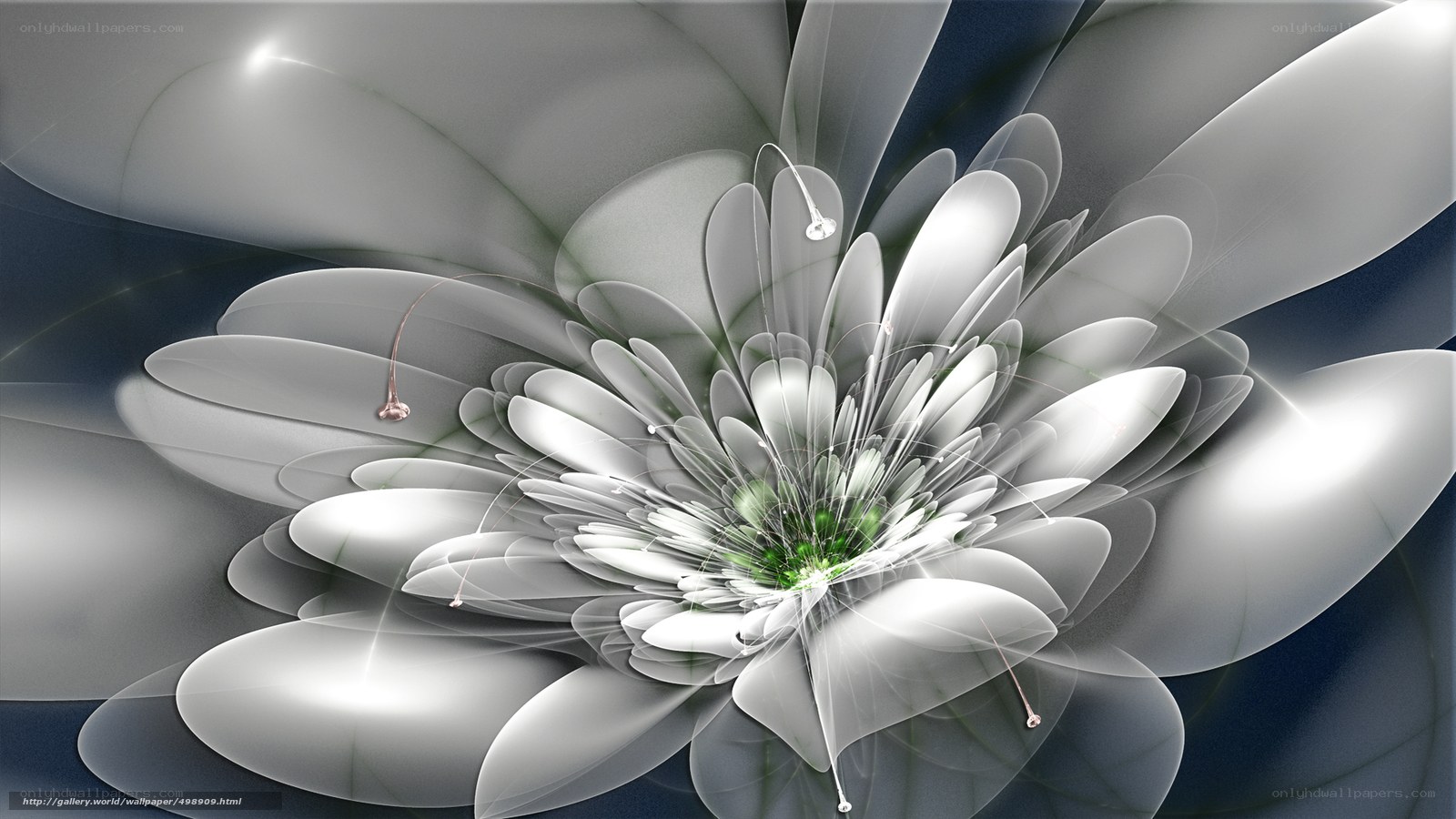 Abstract white flower fractal