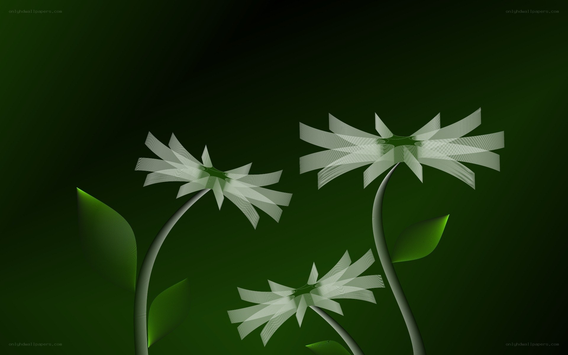 Abstract white flowers on green