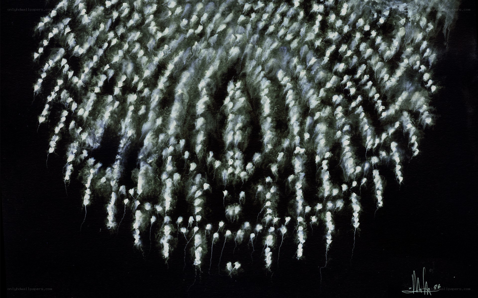 Abstract white forms on black