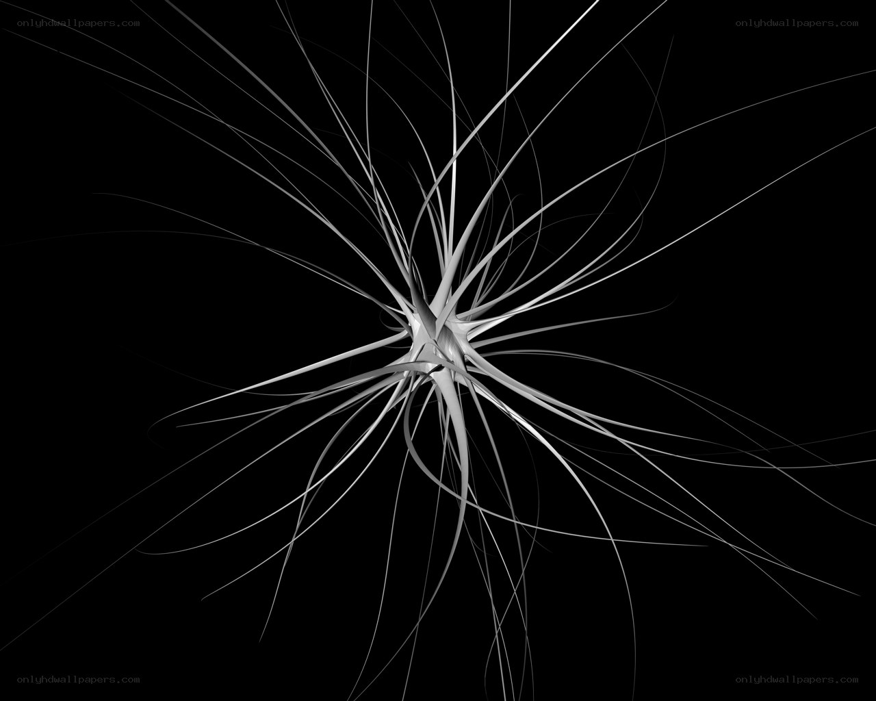 abstract white fractal design