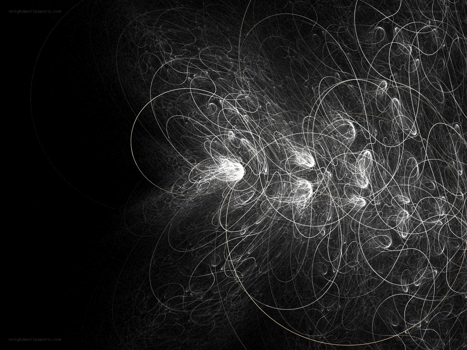 Abstract white fractal lines
