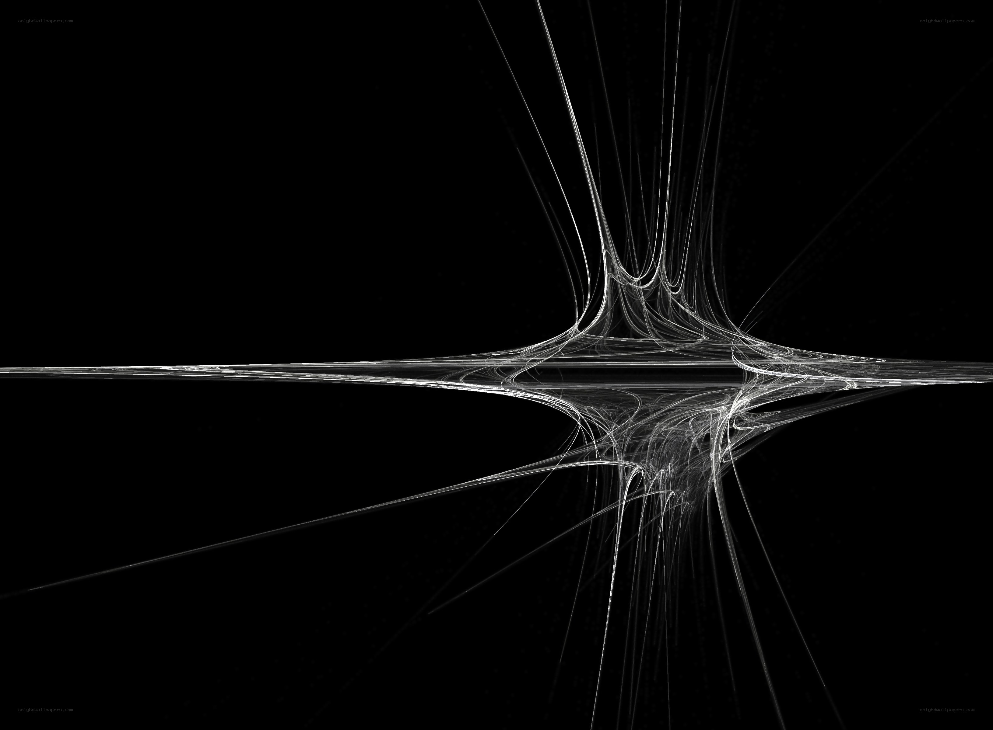 Abstract white fractal lines