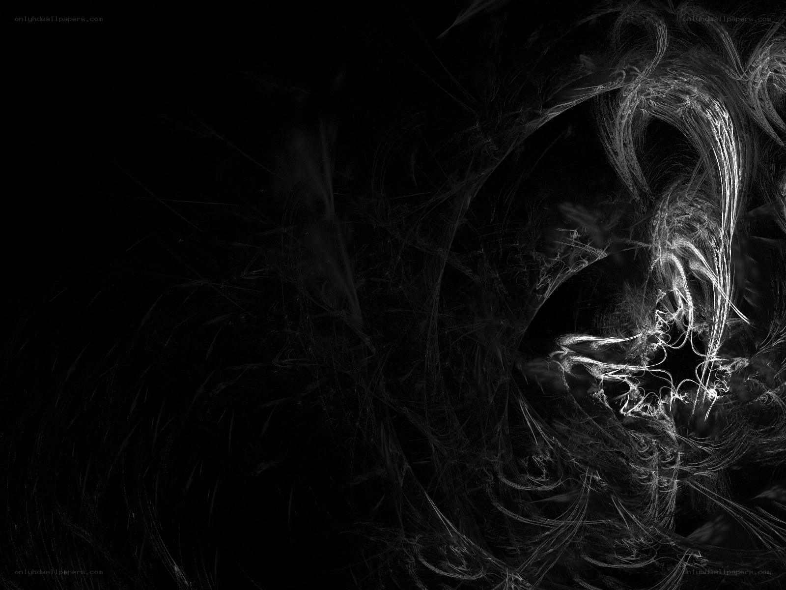 abstract white fractal patterns