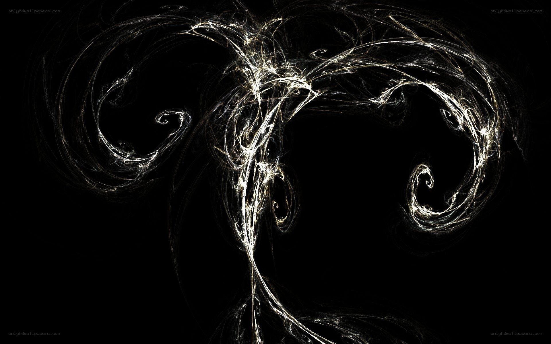 Abstract white fractal swirls