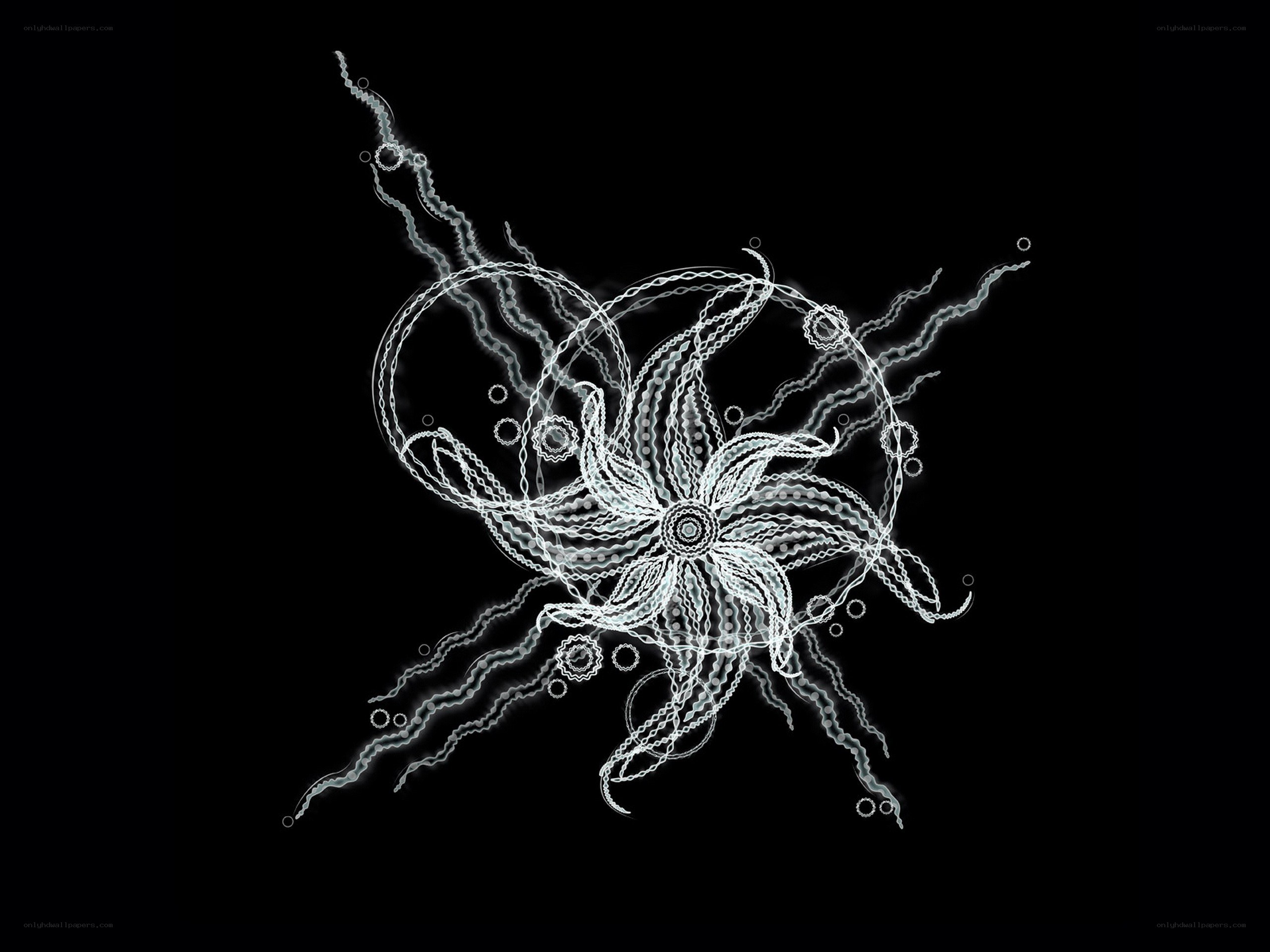 abstract white line art on black